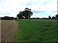 Main Road near Ashwicken, Norfolk in Ashwicken