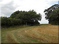 Field boundary & a gate on the '1066 Country Walk' in TN40 2RX