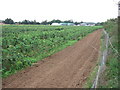 Raspberries and runway in PE32 1XR