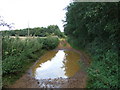 Flooded track between Leziate and Ashwicken in Leziate