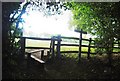 Stile by the Sussex Border Path in GU27 3PS