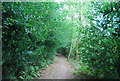 Sussex Border Path to Linchmere in GU27 3PS