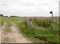 Byway through Garford Field in Garford