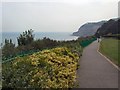 Cliff Top Path - Shanklin in PO37 6JN