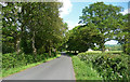 Country road near Graffham (2) in GU28 0PY