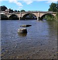 Bewdley Bridge and River Severn in DY12 2BF