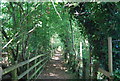 Footpath by Leybourne Lake in ME19 5RB