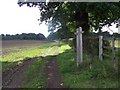 Footpath Junction Near Etchinghill in WS15 2XR