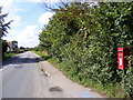 B1123 Southwold Road & Orchard End Postbox in Blyford