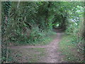 Bridleway and footpath junction beside Oxenden Wood in CT3 3JN
