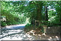 Footpath off Sandy Lane, Kingfisher Farm in GU27 3QB