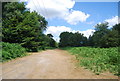 Footpath to the A3, Bramshott Common in GU26 6FZ