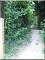 Woodland Track into Aylesham Wood in CT3 3DJ