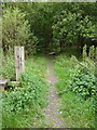 Footpath near Livingstone Road in BB5 4DJ