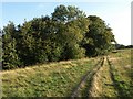 Footpath to the Nidd Gorge in HG1 3EB