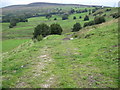 Footpath from Stalybridge towards Cocker Lane in SK15 2RL