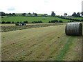 Haylege making on Offa's Dyke Path below Tyddyn-y-cyll Farm in LL18 6AU