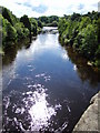 River Tees at Barnard Castle in DL12 9BY