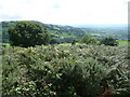 View of the footbridge over the A55 road from Offa's Dyke Path in LL17 0TP