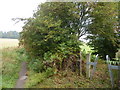 Footpath junction south of Tupton in S45 9UZ