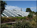 Kew Gardens - The Princess of Wales Conservatory in TW8 0FA