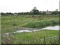 Baswich Lane crosses a floodmeadow in ST17 0AY
