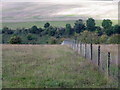 Downland above Coombe Bissett in SP5 4NS