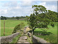 Bridge over Cockshaw Burn near Breckon Hill in NE46 2BP