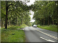 2010 : A346 heading south in Savernake Forest in SN8 4NE
