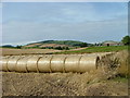 Straw bales at Grange of Lindores in KY14 6JN