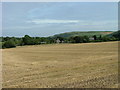 Stubble field at Grange of Lindores in KY14 6JN