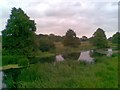 River Nene in NN1 5LG