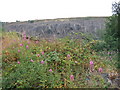 Quarry near Scleddau, Pembs. in Scleddau Community