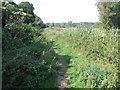 Footpath beside Budleigh Salterton Cricket Club in EX9 6ER