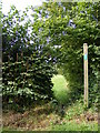 Footpath to Hawthorn & Trust Farms in IP17 3NA