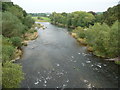 The River Wye below Hay Bridge in HR3 5AE