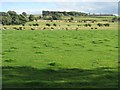 Farmland at Oakbank in EH53 0QN