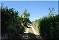 Footpath west off East St in ME19 5BH