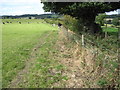 Footpath towards Cliffe Farm in S35 7DF
