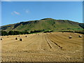 Straw bales at Upper Urquhart in KY14 7TD