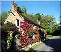 Clamber Cottage Autumn colours in HP5 3NX