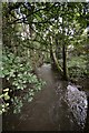 The view up stream on the River Caen from a bridge in Blackwell Wood in EX33 2LP