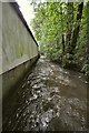 The view down stream on the river Caen from a bridge in Blackwell Wood in EX33 2LP