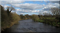River Tees from Low Hail Bridge in DL2 1QN