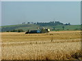 Harvesting at Lochend in KY13 9JQ