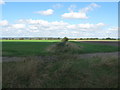 Drain between fields in Romney Marshes in TN31 7PD