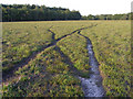 Heathland south of the Ipley Inclosure, New Forest in SO40 4UR