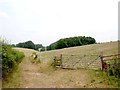 Bridleway from Grange Farm to Hoarwithy in Harewood