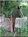 Two Dales - footbridge on footpath to Hackney in DE4 2RP