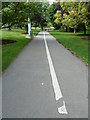 Cycle path within the Stag Hill campus in GU2 7JL